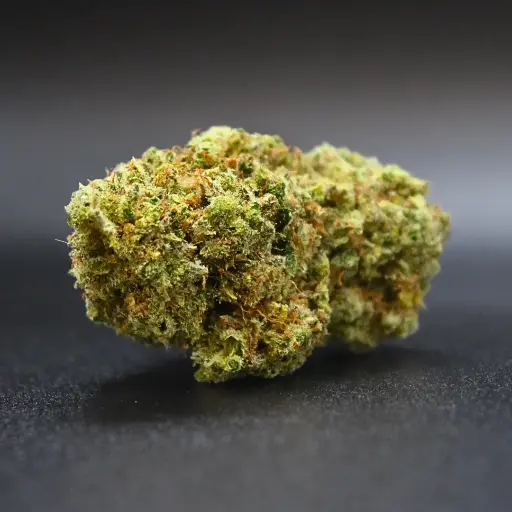TROPICAL GELATO 